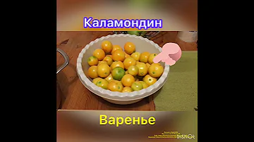 Каламондин или цитрофортунелла варенье из плодов .