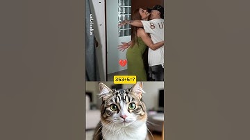 cat reaction video #entertainment #viral #cat #memes #trending