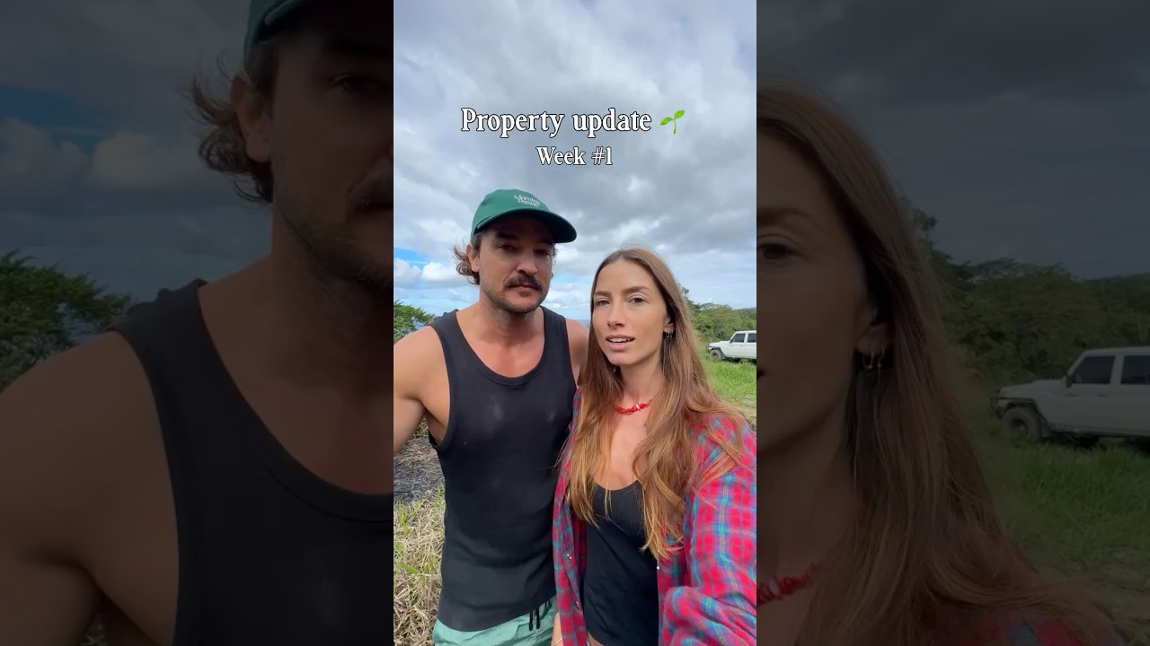 ⁣📍 WEEK 1 : Property Update! #building #landscape