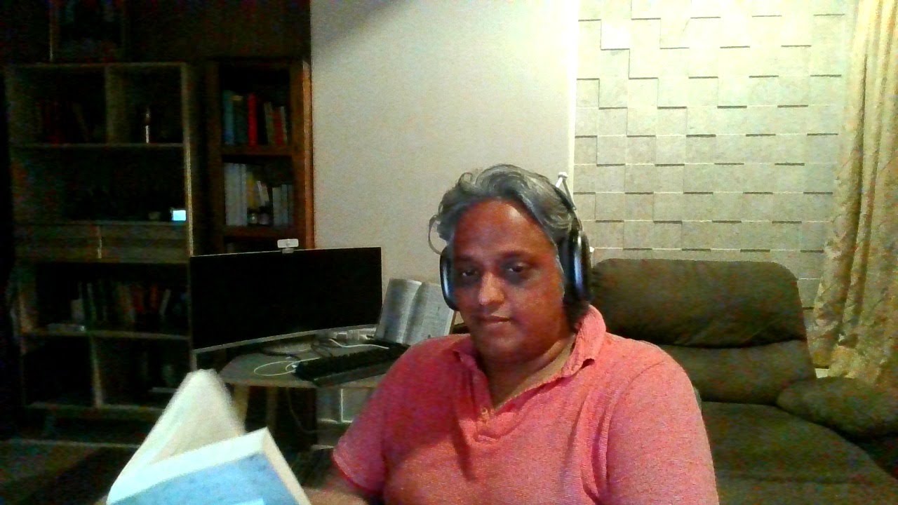 Book Reading Why Stock Markets Crash by Didier YouTube