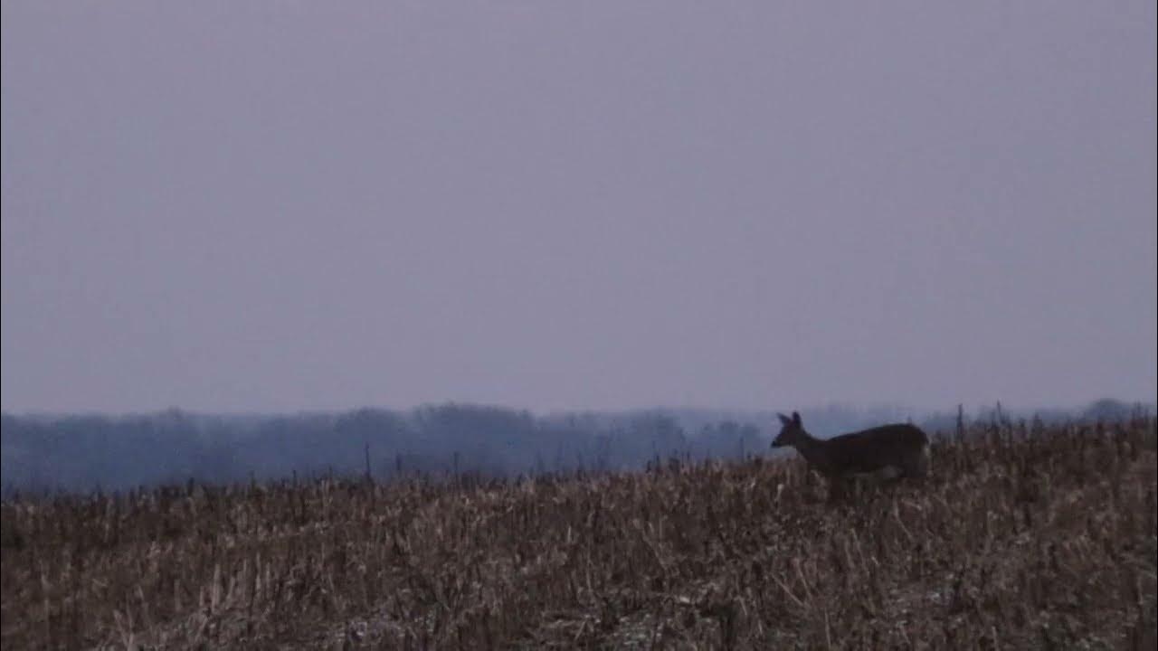Pennsylvania Late Archery Season YouTube