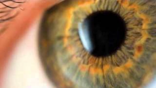 Eyes&Statement.m4v