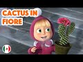 Le Canzoni Di Masha 🇲🇽 Cactus in fiore 🌵🌺 (Episodio 8)💥 Masha e Orso