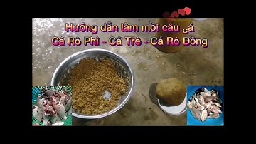 Mồi câu cá : cá rô phi - cá trê & cá rô đồng với cái kết bất ngờ