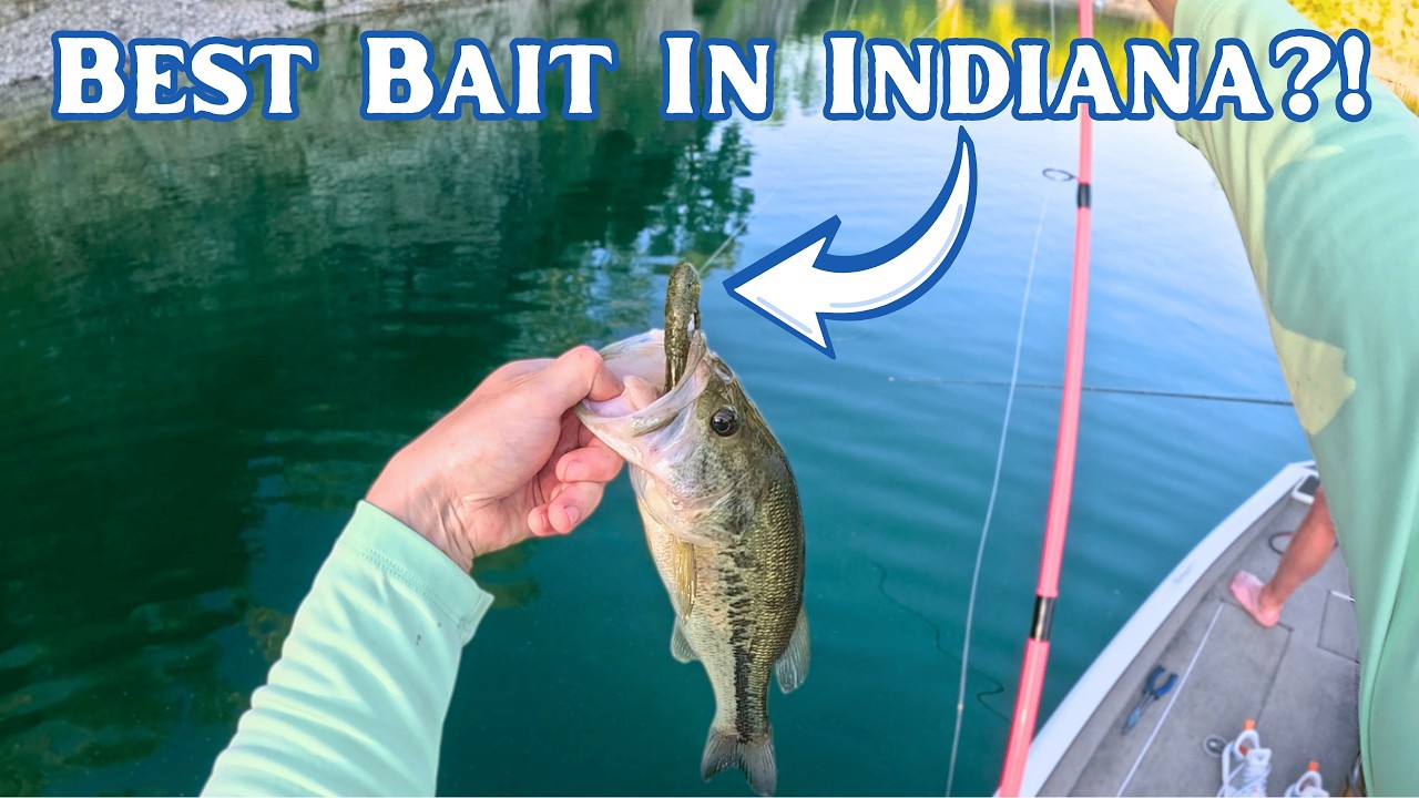 best bass fishing lures 2014 BAIKALBASS Tackle Kits Hard Baits Minnow Pencil VIB Crankbaits Topwater Floating Lures Assorted Fishing Tackle Sets (006-43pcs) : Sports & Outdoors Vintage Abu Ambassadeur 5000 Color:Ice Breaker Fresh and saltwater Rod