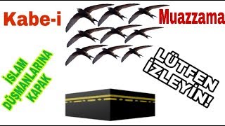 Ebabil Kuşları Kabe - I Muazzamayı Tavaf Ediyor İslam Düşmanlarina Kapak