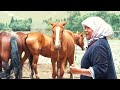 МЕНИН АЙЫЛЫМ ТАЛДЫК АЙЫЛЫ КАРА СУУ 