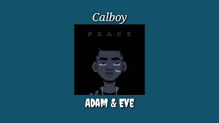 Calboy - Adam & Eve || slowed + reverb