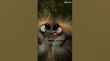 الآية40﴿رَبِّ اجْعَلْنِي مُقِيمَ الصَّلَاةِ وَمِنْ ذُرِّيَّتِي رَبَّنَا وَتَقَبَّلْ دُعَاءِ﴾ #quran