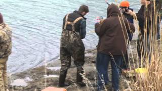Trout Stocking Moorland Pond, Iowa and Webster County DNR, West of Fort Dodge in HD