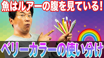 腹のカラーは超重要！シーバスの目線からは1番見えています！【ベリーカラーの使い分け】オヌマンのシーバス塾