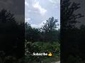 beautiful video