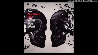 Video thumbnail of "Northern Lite - What You Want [Extended Version]"