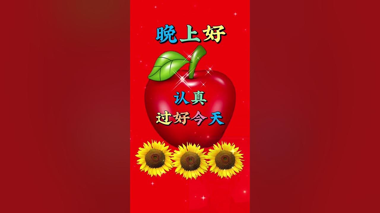 晚上好！祝你每天都有好心情。#晚上好#祝福#晚安#dj#情歌#音乐分享#粉丝一千万#健康快乐每一天