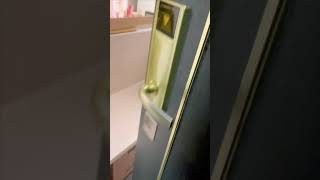 Enthusiastic Bird Greeting Owner Upon Arriving Home