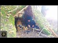 A Homeless Man in the Woods. Bushcraft trip adventure