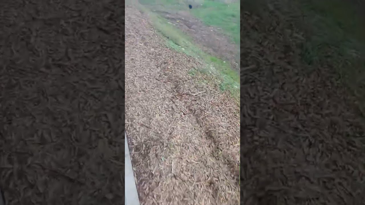 Bitcoin is about to devour the feast of Thanksgiving Day Traders