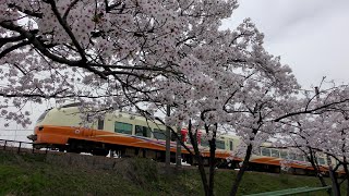 花曇りの快速高田お花見号E653系U-104編成9364M