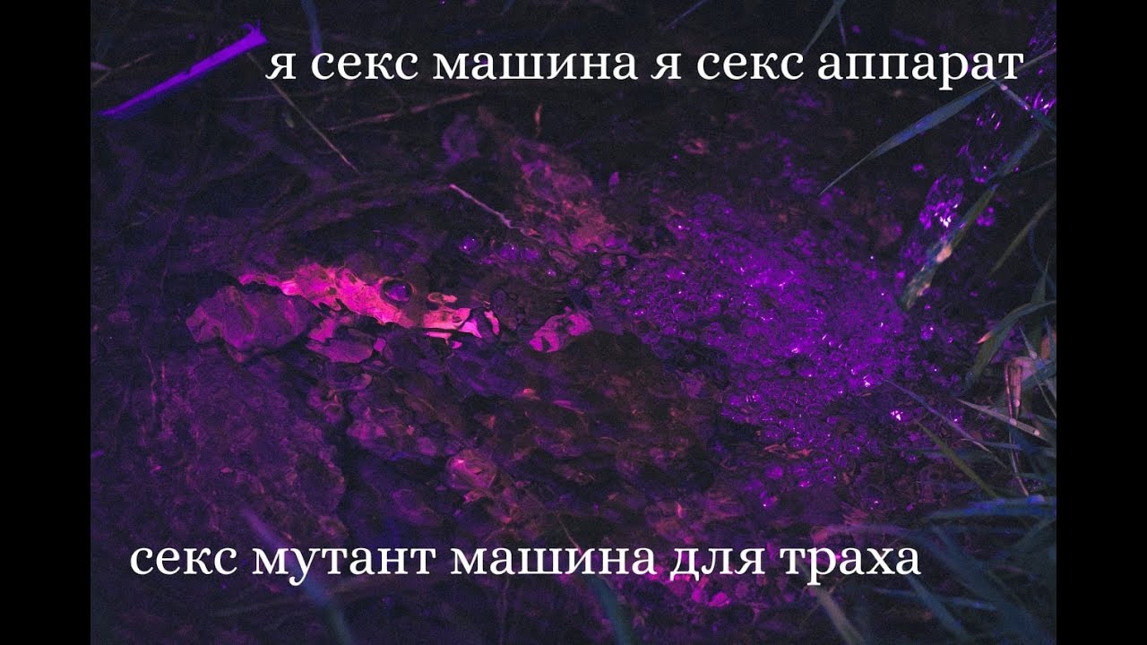 Бебебе бабаба - YouTube