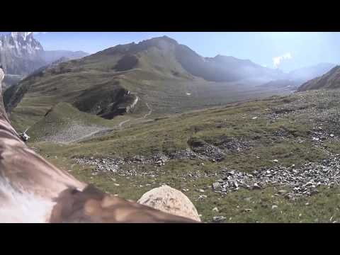 Ultra-Trail du Mont-Blanc®