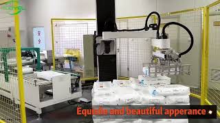 column palletizer#palletizer #palletizingrobot #robot #packingmachine #factory