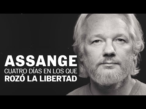 Video: Julian Assange, fundador de WikiLeaks. ¿Dónde está Julian Assange ahora?
