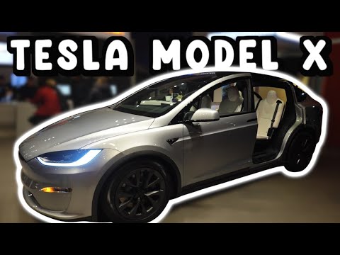 Tesla Model X AWD Walk Around Review (2024)