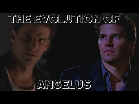 The Evolution of Angelus