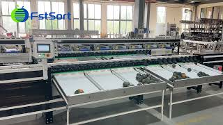 Automatic pumpkin sorting system, Pumpkin size grader,Vegetable  processing machine
