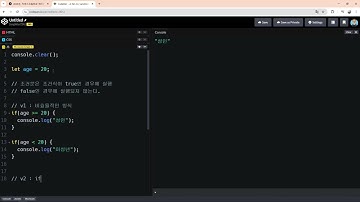 자바스크립트 조건문 개념(if, else if, else)