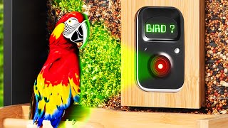 EVERYTHING Has AI Now... Birdfy Bird Feeder Review