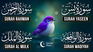 Download Lagu Very Nice Voice Surah Yaseen | Surah Rahman | Surah Waqiah | Surah Mulk l Reciter Ashraf Hussain 042 MP3