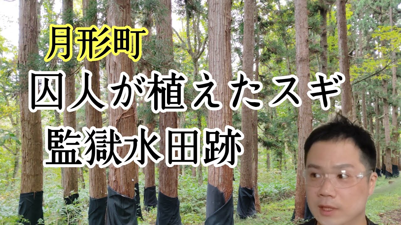 月形町囚人が植えた杉。監獄水田跡。寄り道ビデオ＆グッズ自販機など