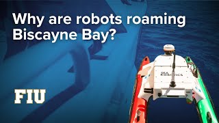 Why are robots roaming Biscayne Bay?