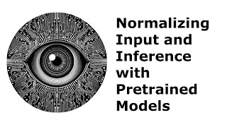 Normalizing Input and Inference with Pretrained Models