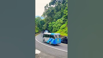 LAGU MINANG PILING TENDING ‼️ RAYOLA-SUMPAH MAINAN BIBIA #laguminangterbaru #busmania #laguminang