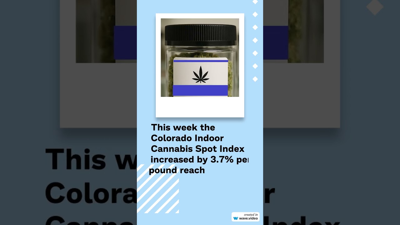 Cannabis Benchmarks US Spot Index Report - June 6, 2025 
