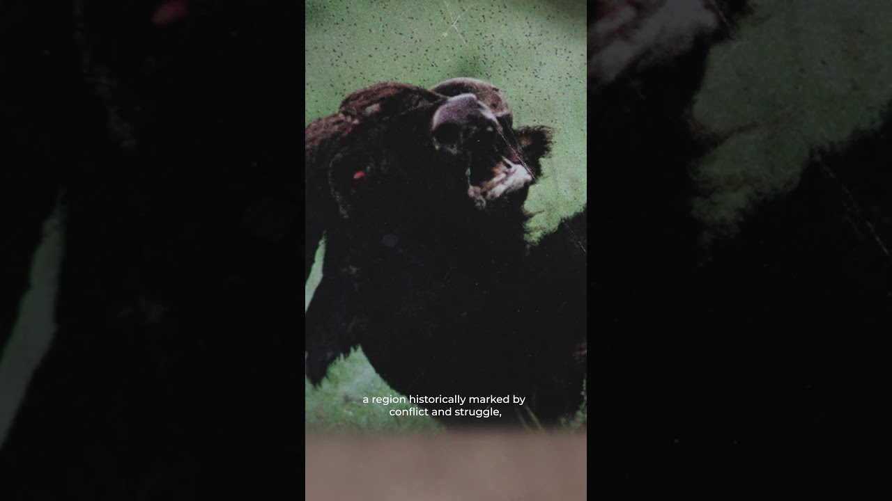 In the Studio with Ahmad Kasha - May 2025