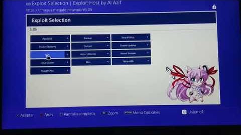Ps4 5.05 Debug Settings