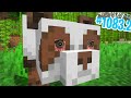 QUESTO VIDEO NON DOVREBBE ESISTERE. - Minecraft ITA SURVIVAL #1083.2