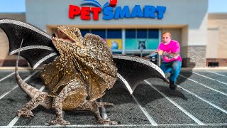 I Brought Dragons To PetSmart!