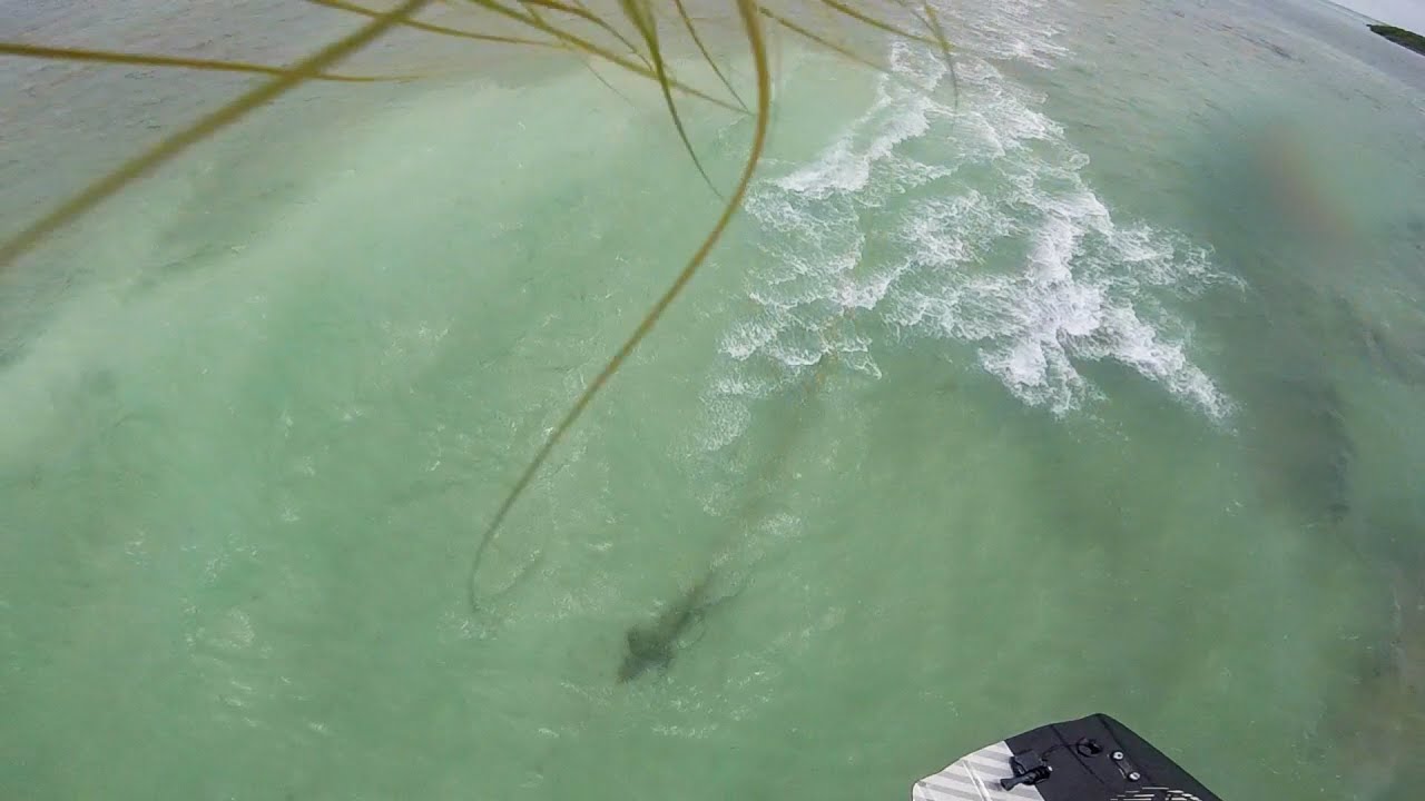 Stuck on Shark Island