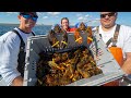 Dirty TRUTH Behind Lobster...Catch Clean Cook- Maine Lobster (Cape Cod)