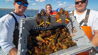 Dirty TRUTH Behind Lobster...Catch Clean Cook Maine Lobster (Cape Cod)