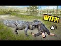 FEEDING PEOPLE TO ALLIGATORS ONLINE! *LASSO TROLLING* | Red Dead Redemption 2 Online Outlaw Life #20