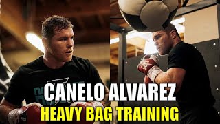 Canelo Alvarez Heavy Bag Training