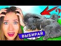 ПОСЛЕДНИЙ ДЕНЬ ПОМОГИТЕ ВЫБРАТЬ КТО НОВЫЙ ПИТОМЕЦ ЭЛЛИ ДИ | Elli Di Pets