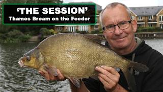 'The Session' Thames Bream on the Feeder