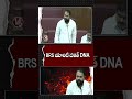 BRS యాంటీ దళిత్ DNA : MLC Addanki Dayakar | V6 News
