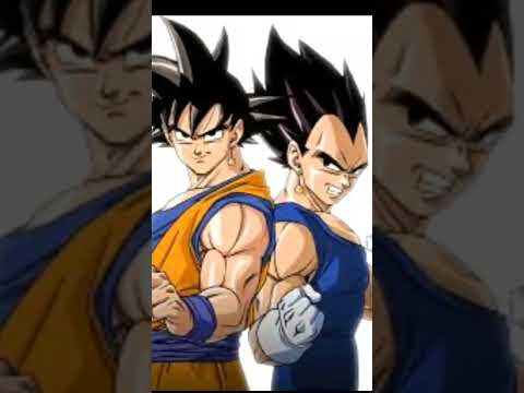افضل صور غوكو و فيجيتا